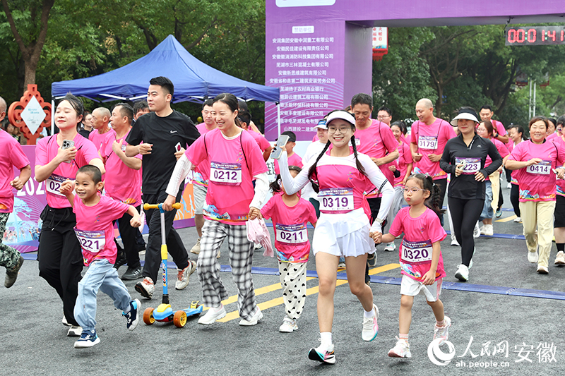 为主题, 有散养鸭, aBIAA 为主题, 有散养鸭, aBIAA